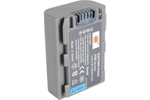 DSTE NP-FP50 Batteria di ricambio Compatibile per Sony DCR-HC23 DCR-HC24 DCR-HC26 DCR-HC27 DCR-HC28 DCR-HC30 DCR-HC32 DCR-HC32