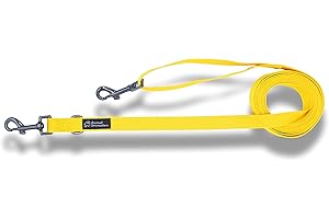 Animal Connection GUINZAGLIO Cani ADDESTRAMENTO in Nylon, 3 Metri RIDUCIBILE 1,5. 4 Colori Disponibili (M/L: 20mm, Giallo)