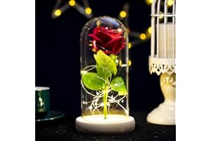 SURAKEY Rosa Bella y La Bestia Rosa Encantada Kit de Rosas Elegante Cúpula de Cristal con Base Pino Luces LED Beauty and Regalos Magicos Decoración para Día de San Valentín Aniversario Bodas