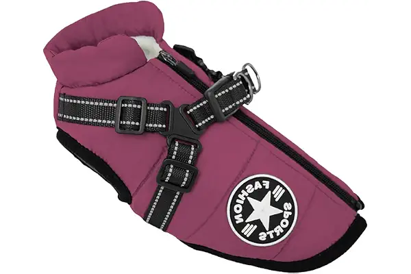 Chaqueta para perros pequeños con arnés, chaleco deportivo para exteriores, abrigo de invierno cálido para mascotas con arnés para gatos, cachorros y perros pequeños