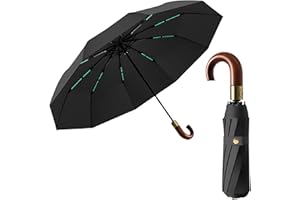 ERISED'S BIFROST Parapluie Pliant Luxueux pour Homme, 10 Baleines de Voyage pour Hommes et Femmes,Résistant au UV/Anti Tempete/Ouverture et Fermeture Automatique Protection UV,Poignée J en Bois Véritable