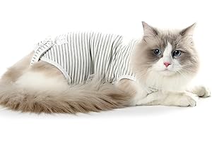 Dotoner Cat Professional Recovery Anzug, chirurgische Erholung Shirt für Bauchwunden Bandagen Kegel Alternative für Katzen nach Operationen medizinischer Anzug weiche Haustierkleidung Indoor(Grey,S)