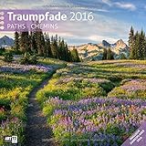 Image de Traumpfade 30 x 30 cm 2016