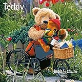 Image de Teddy - T & C-Kalender 2015
