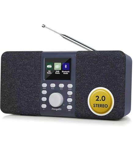 Auna Ambient Radio DAB - Radio DAB+ Compacte Avec Streaming Bluetooth : Version 5.0 Avec Prise En Charge D'A2DP, Radio : Tuner DAB/DAB+/FM, Radio Bluetooth Avec Affichage LCD, Aspect Bois Marron Foncé