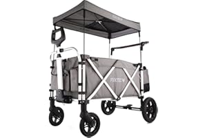 FUXTEC CTL900 Grey Folding Stroller Wagon for Kids to Sit In – 2-Seater Push-Pull Wagon with 5-Point Harness, Adjustable Handle & All-Terrain 4-Wheel Design