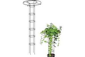 ZUASDVNK Obélisque de Jardin | 210cm Tuteur Plant_e Grimpante | Treillis Fleur Soutien de Jardin en Forme de Tour pour Plan_tes Grimpantes