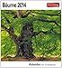Bäume 2014: Sehnsuchts-Kalender. 53 heraustrennbare Farbpostkarten by 