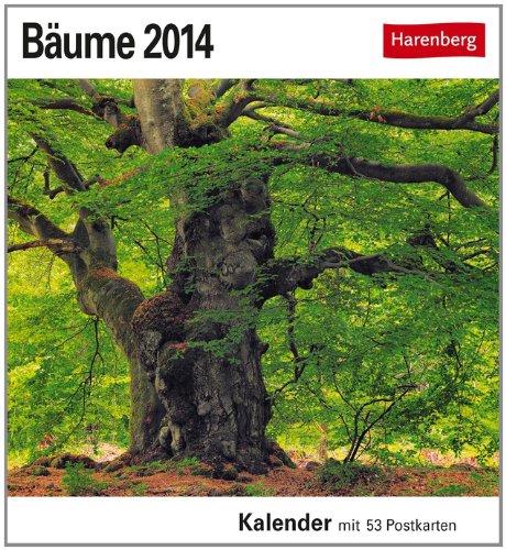 Bäume 2014: Sehnsuchts-Kalender. 53 heraustrennbare Farbpostkarten