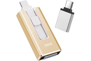 LIDOUYA Chiavetta USB per iphone 256GB, [MFi Certificata] Unità Flash USB 4 in 1 per iphone/Android/PC, USB 3.0, Trasferimento Ultra Veloce 【Senza App】Espandi Memoria, Oro