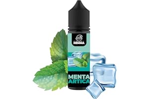 AROMI HEMMA | Arôme Menthe Arctique 20ml Unités Uniques | Arôme Alimentaire Concentré - Fabriqué en Italie
