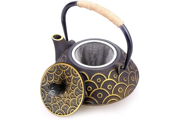 HwaGui Théière en Fonte emaillee Japonaise et Filtre en Acier Inoxydable, écailles de Poisson Classiques 800 ML / 25 oz