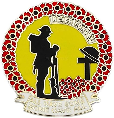 NEW LAPEL PIN POPPY LONE SOLDIER NEVER FORGET BADGE MILITARY COLLECTION 2017 PINS BADGES