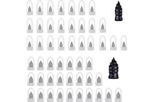 LINTRA 50 Pezzi Chiodi in Gomma a Spirale, Chiodi per Riparazione Pneumatici Sottovuoto, 2 Misure Kit Gomme Auto Riparazione, con Capsula, per Auto, Moto, Camion