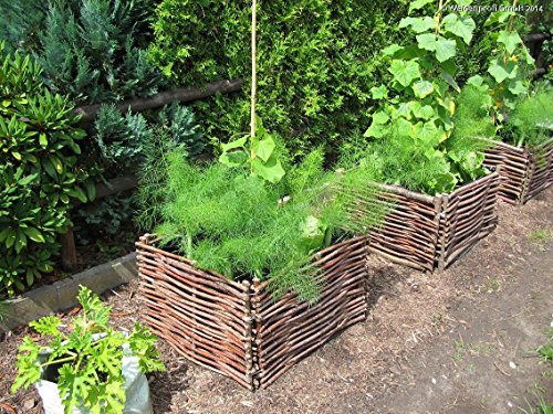 Robuste Beeteinfassung aus Haselnuss 100% natürlich (120 x 20 cm) - 3