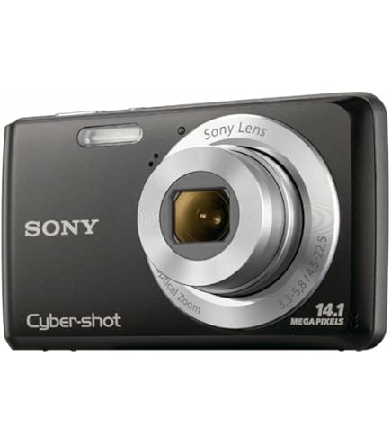 Sony Cyber-shot DSC-W190 12.1MP 1/2.3