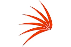 Huntingdoor 36PCS Left Wing Parabolic Feather 4/5 Inch Arrow Fletching DIY Pheasant Feathers Turkey Feather for Archery arrows