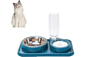 KAKBRT Gamelle double pour chat - Pour animaux de compagnie - Pour nourriture humide et sèche ou même des friandises - Double gamelle pour petits et moyens chats et chiens (bleu2)