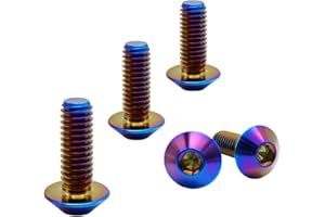 RISON-Titanium Tornillos de Titanio para Bicicleta Motocicleta M8x1.25x20mm, Pernos de Cabeza Allen Semirredonda, Tornillo de Cabeza de Paraguas Tornillos Hexagonales Cabezal de Cúpula, Paquete de 5