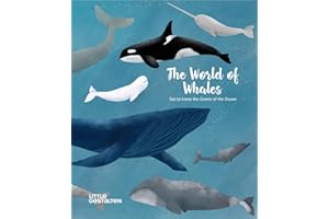 The World of Whales: Get to Know the Giants of the Ocean