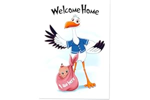 WIETRE XXL Storch Plakat Willkommen zu Hause Baby - Poster zur Geburt DIN A2 - Welcome Home Baby (Mädchen)
