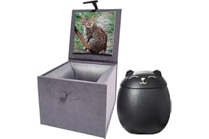 DOINFUN Mini Urns for Ashes, Handicrafted Matte Ceramic Cat Ashes Urns Small Pets Ashes Keepsake Memorial Gift, Ashes Holder with Exquisite Box-Black Small