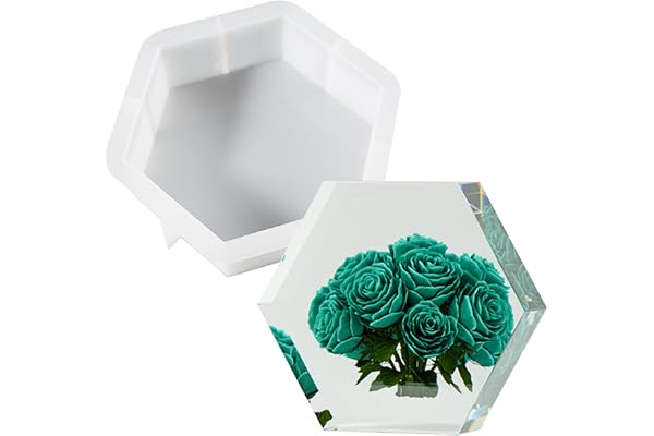 Cayway Moule pour Resine Epoxy Hexagone Moules en Silicone Moulle Resine Epoxy pour La Préservation Des Fleurs, Décorations pour La Maison