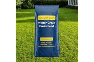 Boston Seeds Winter Grass Seed (2kg) - Fast Growing Grass Seed, Rapid Germination Lawn Seed in Low Temperatures (5°+). Winter Garden Seeds.