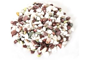 Reptiles Planet Pequeño guijarros de río Colores Naturales para Tortuga acuática Turtle Stones 4,5 kg, Gris - Blanco