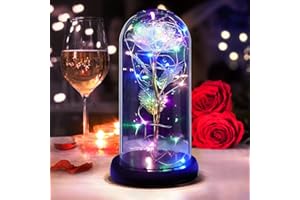 DASIAUTOEM Rose Eternelle sous Cloche, Cadeau Femme, Rose Enchantée La Belle et la Bête, Rose Dôme en Verre avec Lumières LED pour Maman, Femme, Grand Mère, Elle, Petite Amie Anniversaire