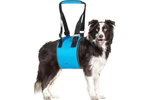 MHwan Tragehilfe Hund, Hundefreundliches blaues Design mit Verstellbarer tragegurt Hund, die behinderten und älteren Hunden beim Spazierengehen sicheren Halt bietet, treppenhilfe für Hunde (M)
