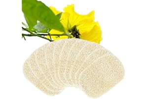 Voarge 10 Stück Natur Luffa Schwamm 8 * 13cm Luffa Schwamme, Seifenschale Seifenhalter Zubehör für Dusche/Bad/Küche/Arbeitsplatte, Beige