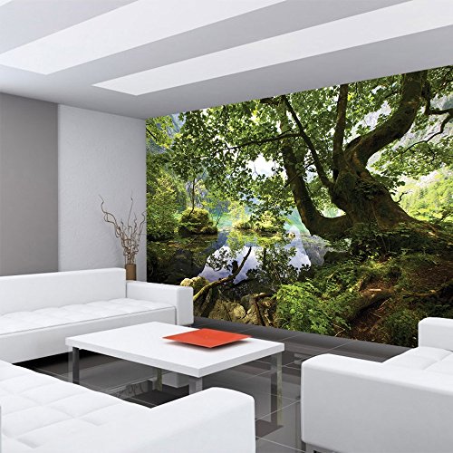 Vlies Fototapete PREMIUM PLUS Wand Foto Tapete Wand Bild Vliestapete – Wasser Baum Gras Berg Felsen Steine – no. 2421, Größe: 312 x 219 cm Vlies - 4