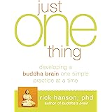 Just One Thing: Developing A Buddha Brain One Simple Practice at a Time