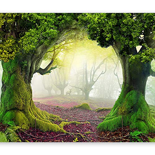 murando Fotomurales 350x256 cm XXL Papel pintado tejido no tejido Decoración de Pared decorativos Murales moderna de Diseno Fotográfico Abstracto 10110903-30