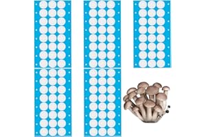 GORGECRAFT 144 pièce 6 Feuilles de Disques Autocollants pour Filtre Synthétique Disques Filtrants Adhésifs Monotub de 20mm Filtres à Large Ouverture de 0.3 μm pour Bocaux Mason Ruban Adhésif