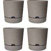 ToXA Begonya Saksı Tabaklı Drenajlı Mat Plastik &Ccedil;i&ccedil;ek Saksısı (4 Adet, 9 Litre, 25cm, Bej)