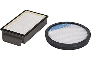 Rowenta Tefal Moulinex Kit de filtración, compatible solo para modelos Compact Power Cyclonic