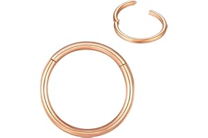 BLESSMYLOVE Nose Rings Hoop 316L Surgical Steel 20G 18G 16G Cartilage Earrings Conch Daith Helix Rook Tragus Lobe Snug Body Piercing Jewelry Stainless Steel Hinged Segment Rings Lip Rings