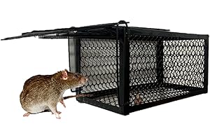 VIPARPLANT Pack 2 Trampas para Ratones Vivos,Captura de Ratones, roedores en Interior y Exterior, Trampa sin dañar al ratón.