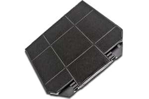 Roblin filtre charbon 5403008