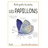 Amazon Fr Les Insectes Petit Guide De Poche Piccolia Livres