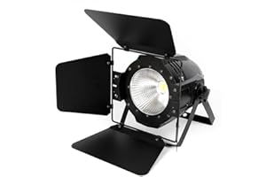 SHIOUCY 100W COB LED Flash Floodlight PAR 2in1 Bianco Warm White DMX Par Stage Lighting illuminazione palcoscenico