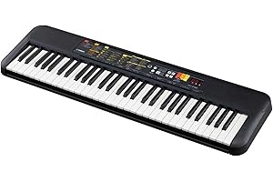 Yamaha PSR-F25 - Teclado digital portátil y compacto con 61 teclas, 144 voces de instrumentos y 158 estilos de acompañamiento, color negro