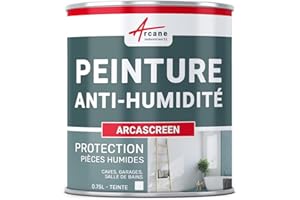 ARCANE INDUSTRIES Peinture anti humidité pour mur humide en plâtre, béton, placo, cave et sous-sol, salle de bain, sdb, anti moisissure, salpêtre, isolante : Arcascreen - 0.75 L (jusqu'à 3 m