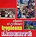 CED - Chants et Rythmes Tropicaux de la Liberté - Chants Traditionnels - Che Guevara - Fidel Castro : Fidel el Libertador - Che Guevara - Le Chant du Guerillero. - Disque Vinyle 33t de 17 cm (et non CD).