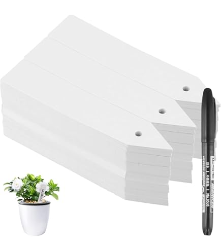 Lot De 100 Étiquettes Pour Plantes En PVC – 21 X 2 Cm, Blanc, Réutilisables | Pour Marquer Semis, Pots, Arbres