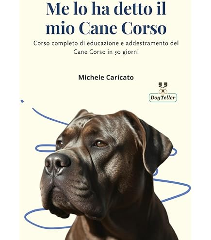 Cartello 'attenzione Quest'area è Difesa Da Cani Da Guar... - SEG 8509 - Foto 4