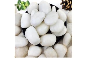 vsell24 5-8cm Extra Large White River Rocks for Landscaping – Natural Pebbles for Indoor Plants, High Polished Decorative Stones for Garden, DIY, Vase Fillers, Fish Tank, and Aquariums (1 KG)