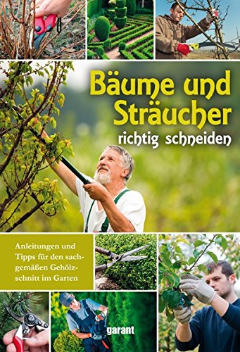 Preisvergleich Produktbild Bäume und Sträucher richtig schneiden